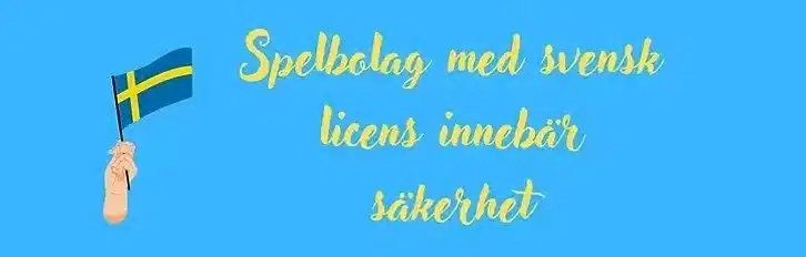 Spelsidor med svensk licens