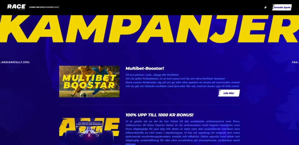 RaceCasino bonus